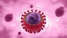 Influenza virus, the flu is an infectious disease caused by an influenza virus. vector illustration Influenza virus, the flu is an infectious disease caused by an influenza virus. vector illustration