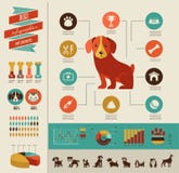 Infographic honden en pictogramreeks vector illustratie Infographic honden en pictogramreeks vector illustratie