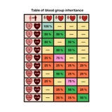 Infographics on the inheritance of blood groups stock illustration Infographics on the inheritance of blood groups stock illustration