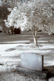 Infrared Cemetary