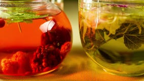 Infusión de hierbas de la baya en un vidrio Infusión de hierbas de la baya en un vidrio