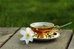 Infusión de hierbas en la taza de oro, narciso blanco que miente en el platillo imagen de archivo Infusión de hierbas en la taza de oro, narciso blanco que miente en el platillo imagen de archivo