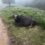 Inget mer gå fotografering för bildbyråer Inget mer gå fotografering för bildbyråer