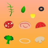 Ingredienser för rukola för skinka för pizzalökchampinjon konserverar olivgrönt vektor illustrationer Ingredienser för rukola för skinka för pizzalökchampinjon konserverar olivgrönt vektor illustrationer