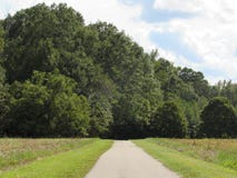 Ingången till skogen arkivbild Ingången till skogen arkivbild