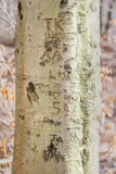 Iniziali e date, scolpite in un tronco di albero immagini stock Iniziali e date, scolpite in un tronco di albero immagini stock