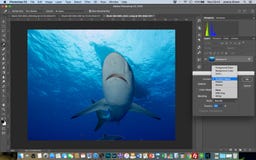 Innehåll-medvetent fyll in Photoshop arkivbilder Innehåll-medvetent fyll in Photoshop arkivbilder