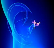 Inner Ear Detailed Anatomy with Pinna on blue background Royalty Free Stock Photography Inner Ear Detailed Anatomy with Pinna on blue background Royalty Free Stock Photography