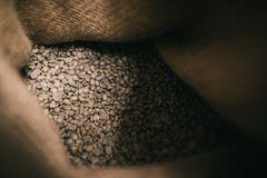 Inom blick går unroasted bönor i säckvävsäck royaltyfria foton Inom blick går unroasted bönor i säckvävsäck royaltyfria foton