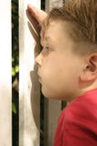 Inquisitive: Peering through a picket fence stock image Inquisitive: Peering through a picket fence stock image