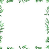Inrama med djupt - grön lövverk en vit bakgrund Sömlös modell för vattenfärg vektor illustrationer Inrama med djupt - grön lövverk en vit bakgrund Sömlös modell för vattenfärg vektor illustrationer