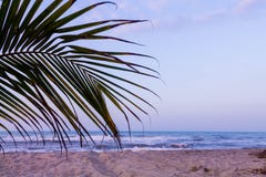 Insabbi, esponga al sole e mare nel parco di Tayrona fotografia stock libera da diritti Insabbi, esponga al sole e mare nel parco di Tayrona fotografia stock libera da diritti