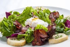 Insalata con bacon e l'uovo affogato su un piatto bianco fotografie stock Insalata con bacon e l'uovo affogato su un piatto bianco fotografie stock