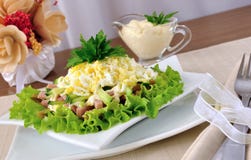 Insalata con il prosciutto, cetriolo, uovo sotto i chip immagine stock libera da diritti Insalata con il prosciutto, cetriolo, uovo sotto i chip immagine stock libera da diritti