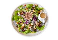 Insalata di tonno con lattuga ed i pomodori isolati su backgroun bianco immagini stock libere da diritti Insalata di tonno con lattuga ed i pomodori isolati su backgroun bianco immagini stock libere da diritti