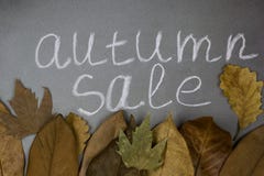 Inscription autumn sale on a chalkboard with autumn leaves royalty free stock image Inscription autumn sale on a chalkboard with autumn leaves royalty free stock image