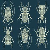 Insects linear pattern seamless texture or background w vector illustration Insects linear pattern seamless texture or background w vector illustration
