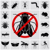 Insects and pests detailed icons set stock illustration Insects and pests detailed icons set stock illustration