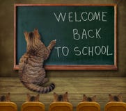 Insegnante del gatto alla lavagna 1 illustrazione vettoriale Insegnante del gatto alla lavagna 1 illustrazione vettoriale