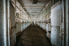 Inside old wooden stable or barn with horse boxes, tunnel or corridor view Royalty Free Stock Photography Inside old wooden stable or barn with horse boxes, tunnel or corridor view Royalty Free Stock Photography