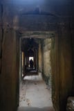 Inside ta prohm temple with broken path,angkor wat angkor thom royalty free stock image Inside ta prohm temple with broken path,angkor wat angkor thom royalty free stock image