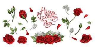Insieme colorato degli elementi disegnati a mano dell'illustrazione delle rose rosse illustrazione di stock Insieme colorato degli elementi disegnati a mano dell'illustrazione delle rose rosse illustrazione di stock