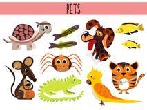 Insieme degli animali del fumetto e degli animali domestici svegli degli uccelli Tartaruga, ragno, gatto, cane, pesce dell'acquar illustrazione di stock Insieme degli animali del fumetto e degli animali domestici svegli degli uccelli Tartaruga, ragno, gatto, cane, pesce dell'acquar illustrazione di stock