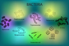 Helicobacter pylori sintomi Helicobacter pylori sintomi