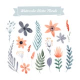 Insieme dei fiori illustrazione di stock Insieme dei fiori illustrazione di stock