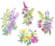 Insieme dell'acquerello del mazzo medicinale di estate royalty illustrazione gratis Insieme dell'acquerello del mazzo medicinale di estate royalty illustrazione gratis