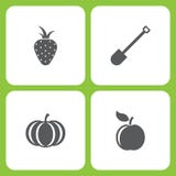 Insieme dell'illustrazione di vettore delle icone semplici del giardino e dell'azienda agricola Elementi fragola, pala, zucca, Ap illustrazione vettoriale Insieme dell'illustrazione di vettore delle icone semplici del giardino e dell'azienda agricola Elementi fragola, pala, zucca, Ap illustrazione vettoriale