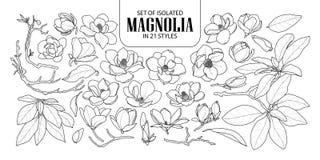 Insieme della magnolia isolata in 21 stile Illustrazione disegnata a mano sveglia di vettore del fiore in aereo bianco nero e del illustrazione di stock Insieme della magnolia isolata in 21 stile Illustrazione disegnata a mano sveglia di vettore del fiore in aereo bianco nero e del illustrazione di stock