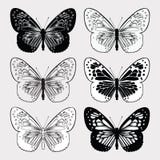 Insieme delle farfalle in bianco e nero, a mano disegno Illustr di vettore Immagine Stock Insieme delle farfalle in bianco e nero, a mano disegno Illustr di vettore Immagine Stock