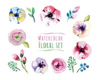 Insieme di elementi di Watercolorflorals Foglie d'annata illustrazione vettoriale Insieme di elementi di Watercolorflorals Foglie d'annata illustrazione vettoriale
