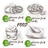 Insieme disegnato a mano con i dadi Nutrizione sana vegetariana Schizzo d'annata di vettore dell'alimento fissato per il menu del royalty illustrazione gratis Insieme disegnato a mano con i dadi Nutrizione sana vegetariana Schizzo d'annata di vettore dell'alimento fissato per il menu del royalty illustrazione gratis