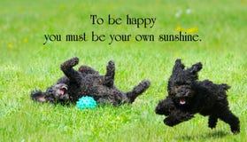 Inspirational Quote Inspirational Quote