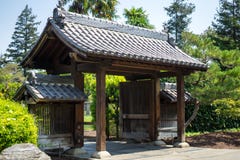Installaties in Japanse Tuin stock afbeeldingen Installaties in Japanse Tuin stock afbeeldingen