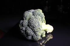 Interi broccoli verdi sul fondo riflettente nero dello studio Lo specchio brillante nero isolato ha rispecchiato il fondo per ogn Fotografia Stock Libera da Diritti Interi broccoli verdi sul fondo riflettente nero dello studio Lo specchio brillante nero isolato ha rispecchiato il fondo per ogn Fotografia Stock Libera da Diritti