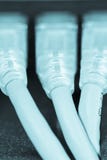 Internet del servidor conectado con los cables LAN imagen de archivo Internet del servidor conectado con los cables LAN imagen de archivo