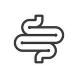 Human bowel icon vector illustration Human bowel icon vector illustration