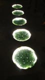 Intravede la natura con luce nell'ambito di oscurità ci dà una luce di speranza fotografie stock libere da diritti Intravede la natura con luce nell'ambito di oscurità ci dà una luce di speranza fotografie stock libere da diritti