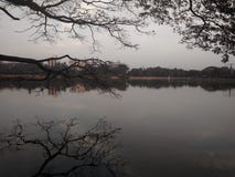 Inverno asciutto sulla riva del lago fotografie stock libere da diritti Inverno asciutto sulla riva del lago fotografie stock libere da diritti