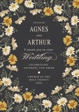 Invito di cerimonia nuziale Bella camomilla dei fiori Cartolina d'auguri dell'annata Pagina Fotografia Stock Libera da Diritti Invito di cerimonia nuziale Bella camomilla dei fiori Cartolina d'auguri dell'annata Pagina Fotografia Stock Libera da Diritti