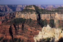 Invités au point de vue au-dessous de la loge, RIM du nord de stationnement national de gorge grande, Arizona Invités au point de vue au-dessous de la loge, RIM du nord de stationnement national de gorge grande, Arizona