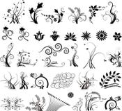 Inzameling van bloemenontwerpen vector illustratie Inzameling van bloemenontwerpen vector illustratie