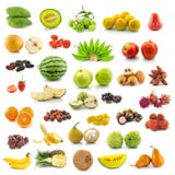 Inzameling van fruit stock fotografie Inzameling van fruit stock fotografie