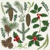 Inzameling van Kerstmisinstallatie vector illustratie Inzameling van Kerstmisinstallatie vector illustratie