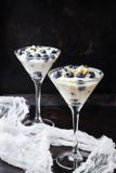 Iogurte caseiro com muesli do granola e mirtilos no vidro de martini imagens de stock royalty free Iogurte caseiro com muesli do granola e mirtilos no vidro de martini imagens de stock royalty free