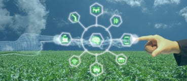 Iot, internet rzeczy, rolnictwa pojęcie, Mądrze Mechaniczny sztucznego intelligence/ai use dla zarządzania, kontrola, monitorin obrazy royalty free Iot, internet rzeczy, rolnictwa pojęcie, Mądrze Mechaniczny sztucznego intelligence/ai use dla zarządzania, kontrola, monitorin obrazy royalty free