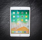 IPad Яблока планшета цвет белого золота нового мини с фронтом экрана дисплея на темной предпосылке стоковое фото IPad Яблока планшета цвет белого золота нового мини с фронтом экрана дисплея на темной предпосылке стоковое фото
